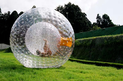 zorbing in karjat at mohili meadows